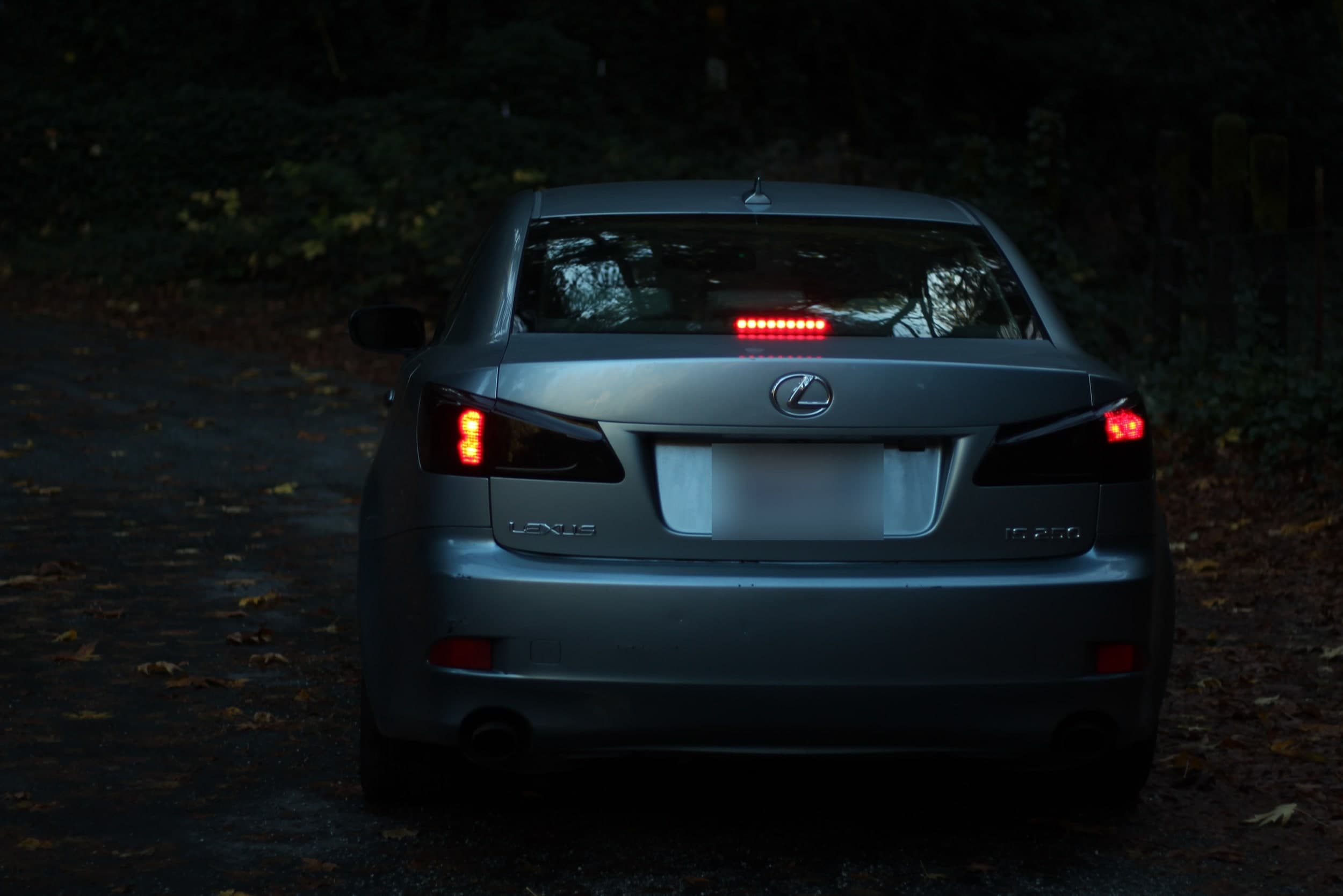 The back of a silver Lexus with its taillights on, on a leaf-covered road at dusk