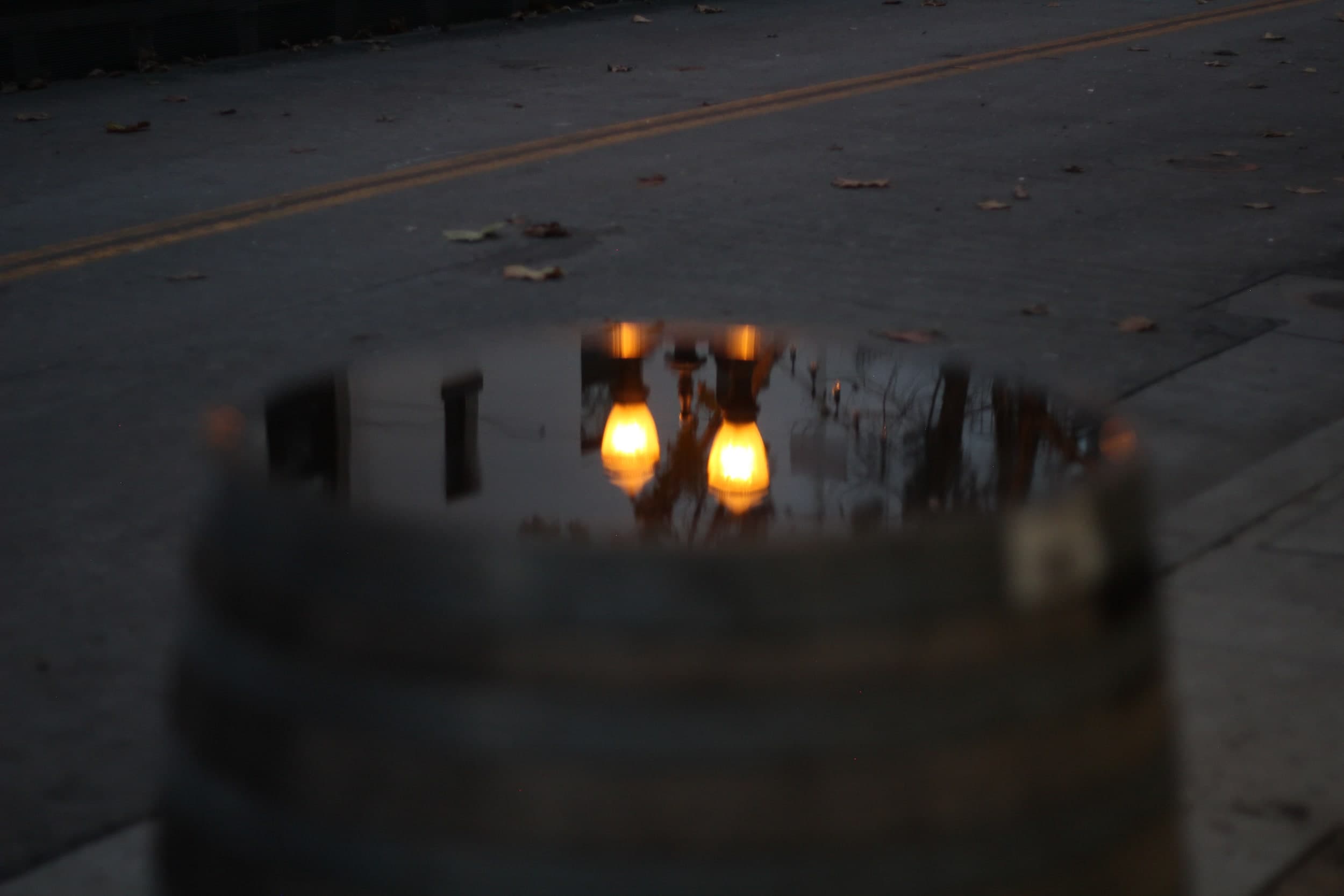 Two glowing streetlamps reflected upside down in a puddle on the road at dusk