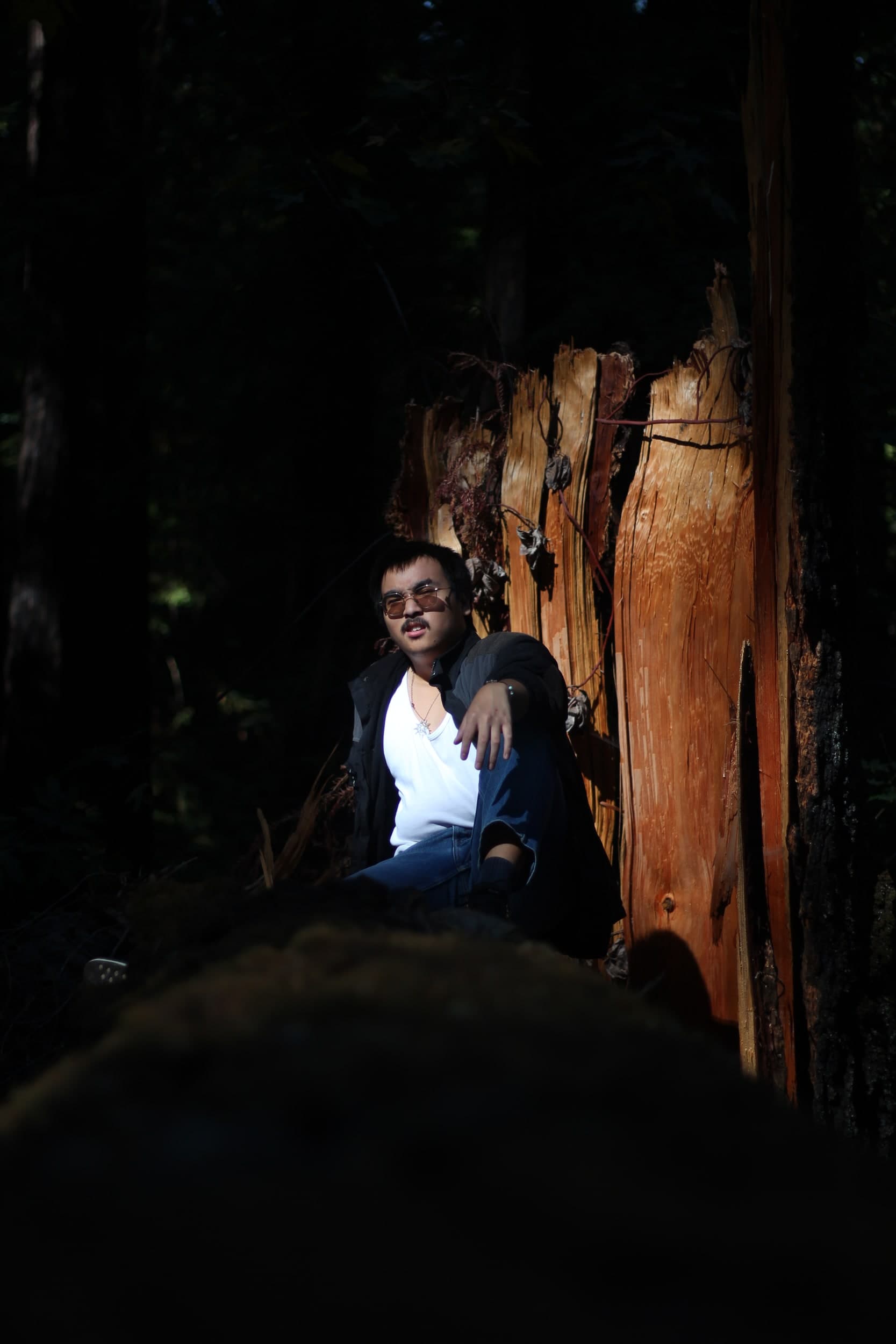 A person in tinted glasses sitting by a split tree stump in a patch of sunlight in a dark forest